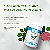 Vega Protein and Greens, Chocolate, Vegan Protein Powder, 20g Plant Based Protein, Low Carb, Keto, Dairy Free, Gluten Free, Non GMO, Pea Protein for Women and Men, 1.8 Pounds 25 Servings