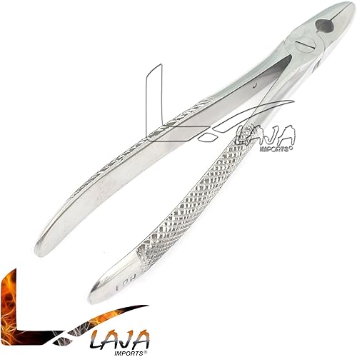 LAJA IMPORTS 1PC Dental Instrument 1MD EXTRACTING Forceps Stainless Steel