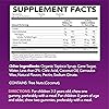 Elderberry Gummies for Kids with Zinc & Vitamin C | Potent Herbal Supplement with Antioxidants to Support Immune Defense | Vegan Gummies