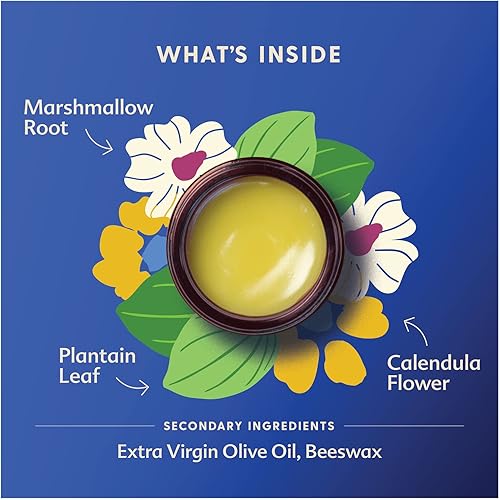 Motherlove Green Salve 1 oz Family-Friendly Herbal First-Aid Ointment for Bug Bites, Bumps, Bruises—USDA Certified Organic