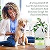 Biokleen Bac-Out Pet Stain Remover - 1 Gallon - Enzymatic, Natural, Destroys Stains & Odors Safely, for Pet Stains on Carpets - Eco-Friendly, Plant-Based