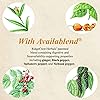 RidgeCrest Herbals Adrenal Fatigue Fighter, Adaptogen Stress Support, 60 Vegetarian Capsules