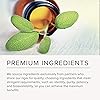 Integrative Therapeutics Clinical Nutrients HP - Multivitamin with Vitamin C, Magnesium, Zinc, Biotin, Vitamin B12, Vitamin E, Inositol - Antioxidant Supplement - Gluten Free - Dairy Free - 60 Caps