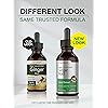 Ginger Root Extract | 2 oz | Alcohol Free Supplement | Super Concentrated | Vegetarian, Non-GMO, Gluten Free Liquid | by Horbaach