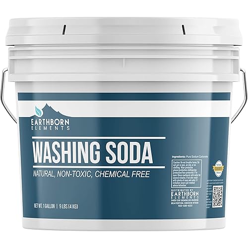 Earthborn Elements Washing Soda 1 Gallon, Soda Ash, Sodium Carbonate, Non-Toxic Laundry Booster
