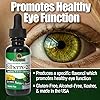 Nature's Answer Alcohol-Free Bilberry-20 Extract Supplement 1-Fluid Ounce | Eye & Vision Support | Promotes Circulation