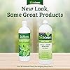 Biokleen Bac-Out Stain Remover for Clothes - 2 Pack with Cloth - Natural, Enzymatic Odor & Stain Remover, Enzyme Professional Strength, Destroys Stains & Odors Safely, for Pet Stains, Urine, Laundry, Diapers, Wine, Carpets - Eco-Friendly, Plant-Based