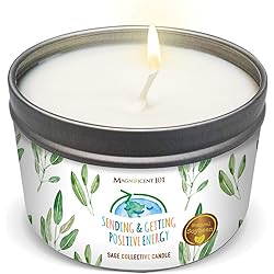 MAGNIFICENT101 Pure White Sage Collective Candle Smudge Candle for House Energy Cleansing, Banishes Negative Energy - Natural Soy Wax Tin Candle Sending & Getting Positive Energy