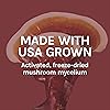 Host Defense, Reishi Capsules, Supports General Wellness and Vitality, Daily Mushroom Mycelium Supplement, USDA Organic, Gluten Free, 120 Vegetarian Capsules 60 Servings