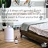 HBNO Lavender Dutch Essential Oil Lavandin 4 oz 120 ml - 100% Pure & Natural Essential Oil Steam Distilled - Perfect for Aromatherapy, DIY, Candle Making & Soap Making