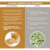 Cordyceps Performance Mushroom Extract Powder Supplement - Improve Energy and Endurance 120ct Non-GMO 60 Days