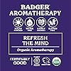 Badger - Headache Soother, Aromatherapy Balm Stick, Certified Organic, Headache Relief Aromatherapy Oil, Peppermint Eucalyptus & Lavender Essential Oils, Stress Relief, 0.6 oz
