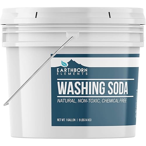 Earthborn Elements Washing Soda 1 Gallon, Soda Ash, Sodium Carbonate, Non-Toxic Laundry Booster