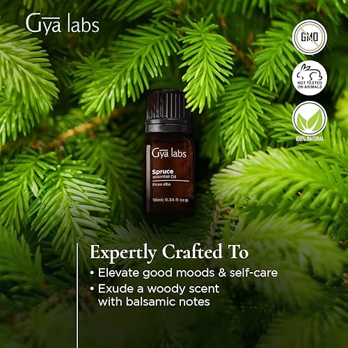 Gya Labs Spruce Essential Oil 10ml - Woody, Balsamic & Refreshing Scent