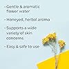 Plant Therapy Helichrysum Hydrosol 4 oz Flower Water by-Product of Essential Oils