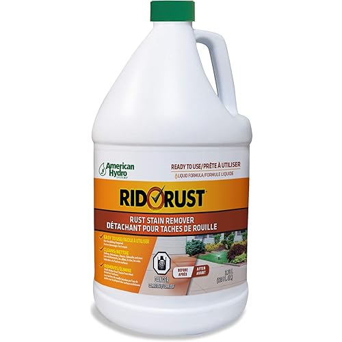 American Hydro Systems 2662 Rid O' Rust Liquid Rust Stain Remover, 1 Gallon, 2 Pack