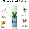 Badger - After Bug Balm Stick, Organic Anti-Itch Balm, Bug Bite Relief Stick, Itch Balm Stick, Itch Relief Balm, After Bite Balm, Mosquito Bite Relief, 0.6 oz - 2-Pack