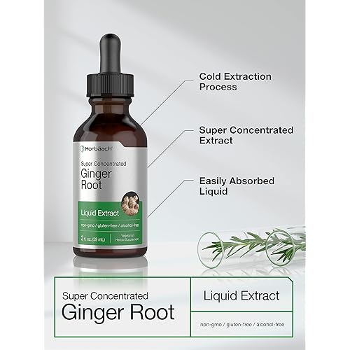 Ginger Root Extract | 2 oz | Alcohol Free Supplement | Super Concentrated | Vegetarian, Non-GMO, Gluten Free Liquid | by Horbaach