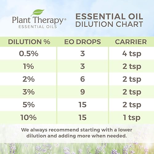 Plant Therapy Organic Lavender Essential Oil 100% Pure, USDA Certified Organic, Undiluted, Natural Aromatherapy, Therapeutic Grade 10 mL 13 oz