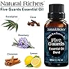 Natural Riches Five Guards Essential Oil Blend for Health Shield Aromatherapy with Clove Cinnamon Lemon Rosemary Eucalyptus Oil - 30ml