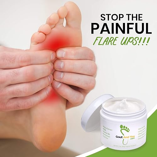 Gout and You Pain Relief Cream for Joint Flare-Ups, Tendon, Muscle Ache - Fast Acting Pain Relieving Rub with Arnica Extract, Ilex Leaf Extract, Aloe Vera and Tea Tree Oil