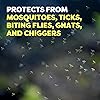 OFF! Deep Woods Insect Repellent Aerosol, Dry, Non-Greasy Formula, Bug Spray with Long Lasting Protection from Mosquitoes, 4 oz Pack of 4