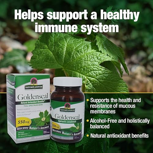 Nature's Answer Goldenseal Root Vegetarian Capsules, 50-Count | Promotes Overall Wellness | Natural Immune Booster | Inflammatory Reducer