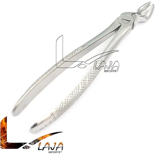 LAJA IMPORTS 1PC Dental Instrument 67# EXTRACTING Forceps Stainless Steel