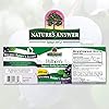 Nature's Answer Bilberry Standardized Capsules 90 Count | Eye & Vision Support | Promotes Circulation