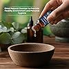 Eucalyptus and Cedarwood Essential Oils Bundle - Natural, Pure, and Therapeutic Grade - Multiple Household and Topical Uses - for Diffuser, Massage, Aromatherapy, Personal Care by Nexon Botanics
