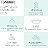 UpNature Cinnamon Essential Oil - 100% Natural & Pure , Undiluted, Premium Quality Aromatherapy Oil- Cinnamon Leaf Essential Oil Natural Pain Relief, Relieves Muscle Aches, Nausea & Boost Mood, 2oz