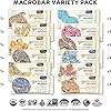 GoMacro MacroBar Organic Vegan Protein Bars - Variety Pack 2.0-2.4 Ounce Bars, 12 Count