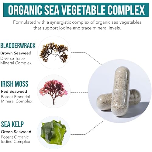 Organic Iodine Supplement from Sea Vegetable Complex, Whole Food & Raw Form - 250 mcg Iodine Plus Trace Mineral Complex – Contains Purest Icelandic Sea Kelp, Irish Moss & Bladderwrack 60 Capsules