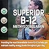 Methyl B12 5000 mcg Vitamin B12 Methylcobalamin Lozenges Super B Vitamin B Complex Sustained Slow Release