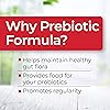 Health Plus Prebiotic Formula - Probiotics Prebiotics Digestive Enzymes - Gluten Free, Dairy Free, Natural Herbal Ingredients 180 Capsules, 60 Servings
