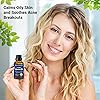 Organic, Pure, and 100% Natural Cedarwood and Cinnamon Essential Oils Bundle - Therapeutic Grade, Aromatherapy Oils for Massage, Diffusers, Relaxation, Congestion, and Stress Ease - by Nexon Botanics