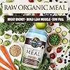 Garden of Life Raw Organic Meal Replacement Shakes - Chocolate Plant Based Vegan Protein Powder, Pea Protein, Sprouts, Greens, Probiotics, Dairy Free All in One Shake for Women and Men, 28 Servings