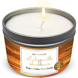 MAGNIFICENT 101 Affirmations Sage, Cedar, Palo Santo, Sprinkle of sage Leaves Smudge Candle for House Energy Cleansing, Banishes Negative Energy - Natural Soy Wax Tin Candle I Align with Abundance