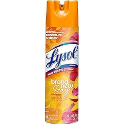 Lysol Disinfectant Spray, Sanitizing and Antibacterial Spray, For Disinfecting and Deodorizing, Mango & Hibiscus Scent, 19 Fl Oz, Packaging May Vary