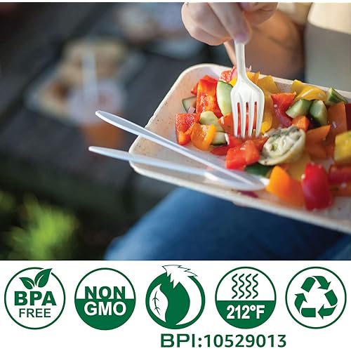 BIOCEAN 100% Compostable No Plastic Knives Forks Spoons Utensils, The Heavyweight Heavy Duty Flatware is Eco Friendly Products for Lounge Party Wedding BBQ Picnic Camping