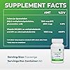 Seeking Health Active B12 with L-5-MTHF, 60 Lozenges, Vitamin B12 Supplement, Supports Cellular Health, Cognitive Health, and Healthy Energy Levels, Vegan- and Vegetarian-Friendly B12 Vitamin, MTHFR