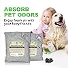 10 Pack Bamboo Charcoal Nature Fresh Air Purifying Bags Activated Charcoal Bags Odor Absorber, Moisture Eliminator,Deodorizer,Air Fresheners For Car Smell,Closet,Shoe,large Room,Pet Room10x100g