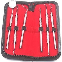 Precise Canada: Dental Dentist Pick Tool Kit 6 Piece Up to 8 Tools - Dentist, Dentistry & Dental Instruments Kit - Ideal Gift for Medic Students and Personal Use