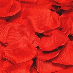 Creative Deluxe Rose Petal Confetti - Red