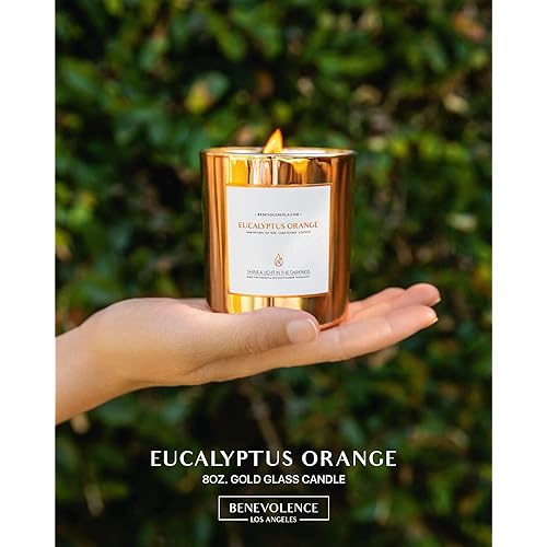 Eucalyptus & Orange Scented Candles for Home Scented | Wood Wicked Candles | Eucalyptus Candle | 8 oz 45 Hour Burn, All Natural Soy Candle, Calming Aromatherapy Candles in Rose Gold Glass Jar