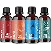 Maple Holistics Essential Oils Set - Relax Chill Uplift and Protect Relaxing Essential Oils for Diffusers for Home with Citrus and Mint Essential Oils