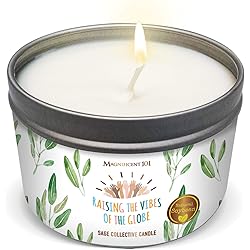 MAGNIFICENT101 Pure White Sage Collective Candle Smudge Candle for House Energy Cleansing, Banishes Negative Energy - Natural Soy Wax Tin Candle Raising The Vibes of The Globe