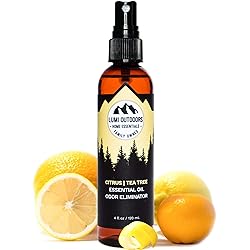 Natural Shoe Deodorizer Spray & Odor Eliminator by Lumi Outdoors - Fresh Citrus Tea Tree Essential Oil Odor Eater