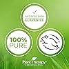 Plant Therapy Rosemary Essential Oil 100% Pure, Undiluted, Natural Aromatherapy, Therapeutic Grade 10 mL 13 oz