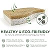 AIRNEX Biodegradable Natural Kitchen Sponge - Compostable Cellulose and Coconut Walnut Scrubber Sponge - Pack of 12 Eco Friendly Sponges for Dishes